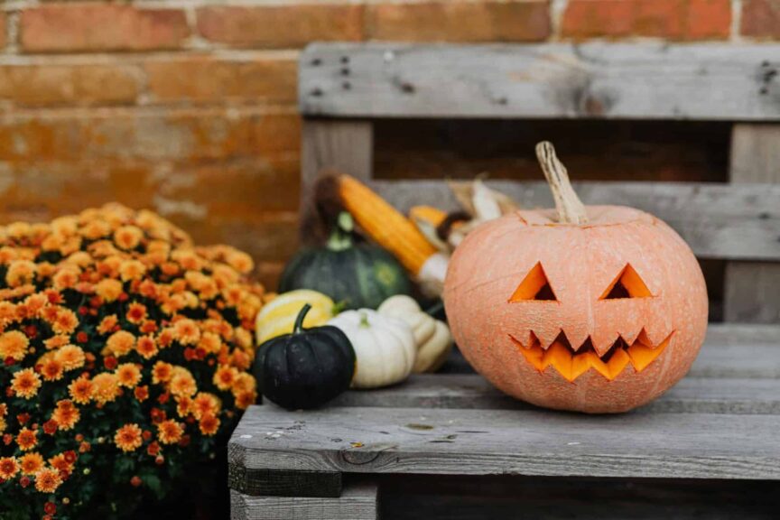 This photograph shows decorations for fall. Pumpkin carving can be part of your process of making autumn festive.