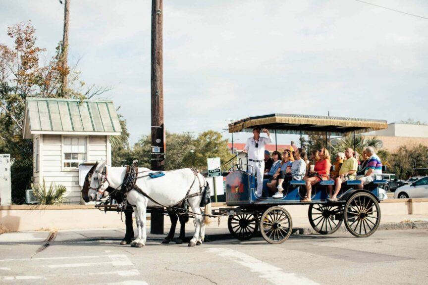 Tourists enjoy a scenic horse-drawn carriage ride through the city, guided by an experienced tour guide. guided tours
