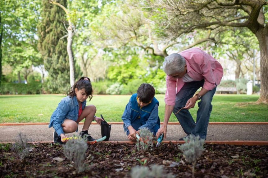 A senior man gardening with his grandchildren in a lush green park on a bright day. grandparents, grandparent, grandparenting