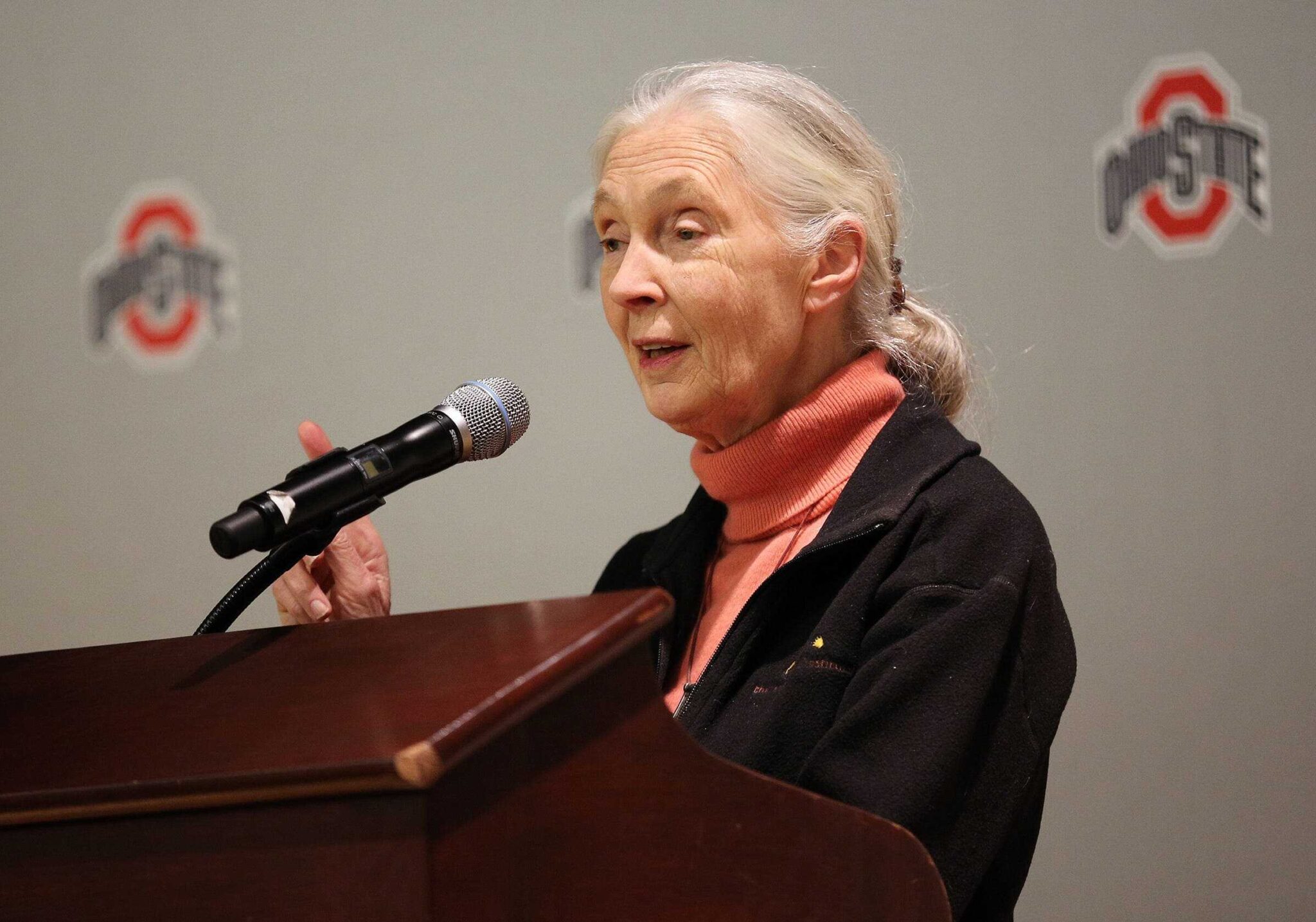Primatologist Jane Goodall talks to local media before giving a presentation to Ohio State University students at the Ohio Union on March 25, 2013.