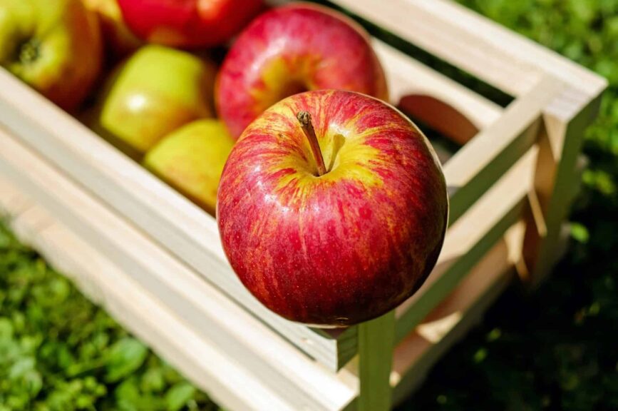 This is a photograph of apples in a crate. Fall foods such as apples can be healthy and tasty.
