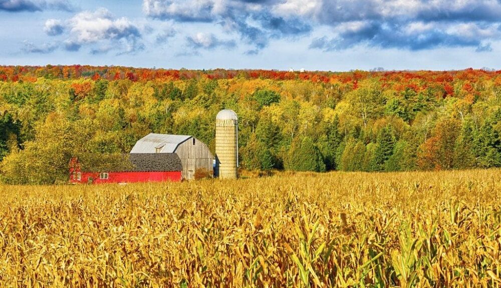 This is a photograph of Door County, Wisconsin. In autumn, Door County is lovely.