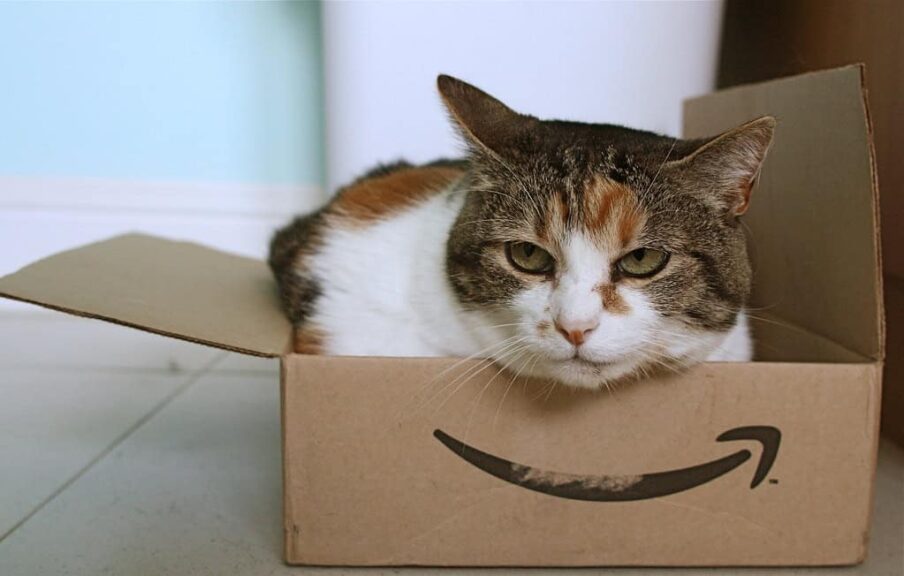Amazon recall, oxygen test kit,