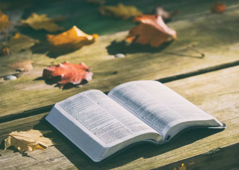 bible, book, pages, open, reading, open bible, bible reading, bible study, chapters, psalms, religion, faith, bible, bible, bible, bible, bible, book, truth,