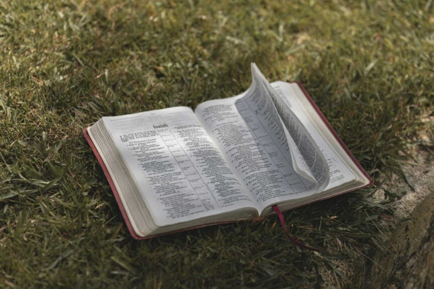 Open Bible resting on grass, capturing a serene and contemplative moment outdoors, daily devotion