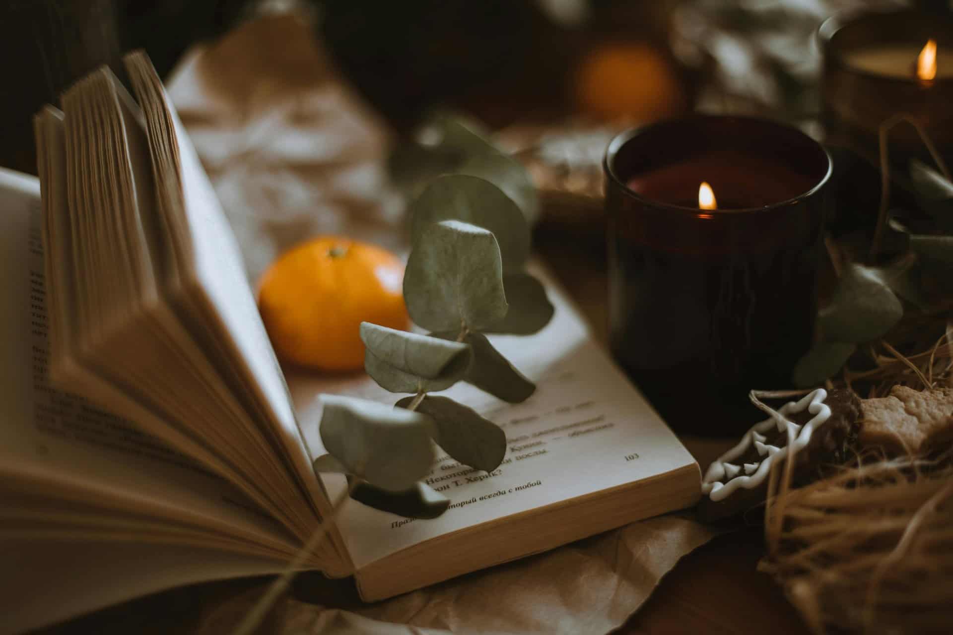 Warm and inviting scene featuring a book, candle, orange, and eucalyptus leaves for a cozy ambiance.