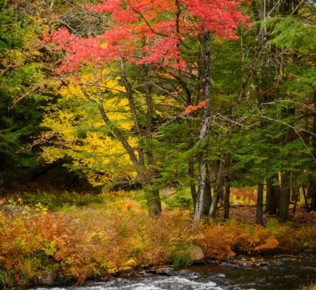 Fall Getaway in New England.