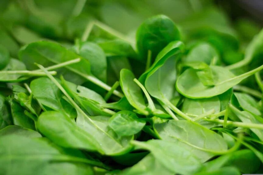 Hello Fresh meals using spinach may be contaminated with listeria.