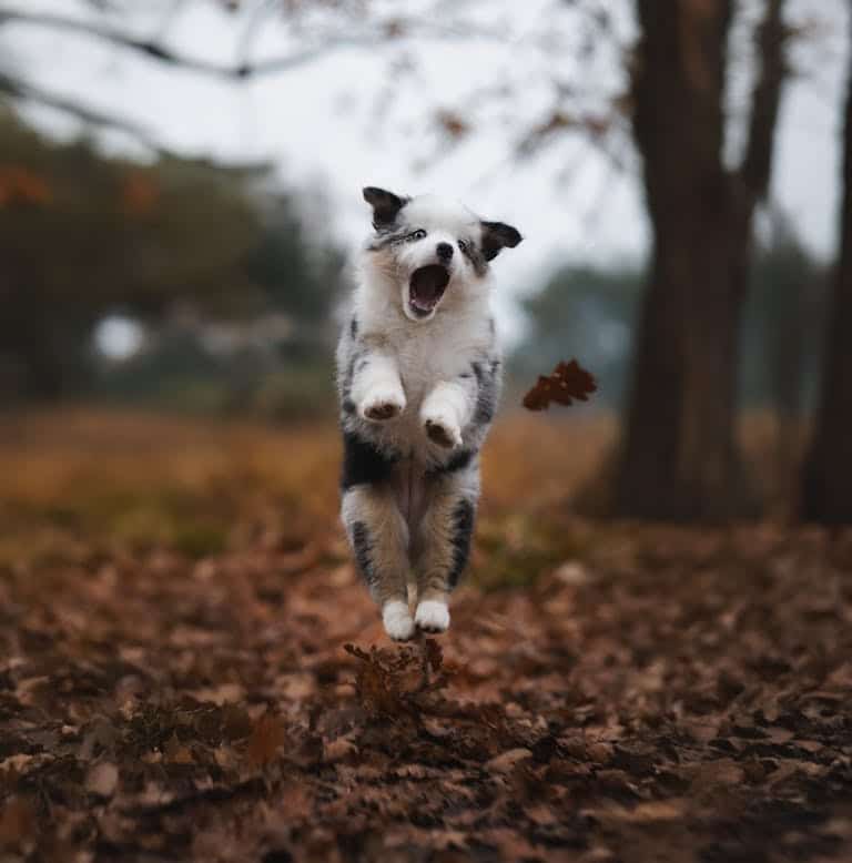 Nature getaways for after Thanksgiving.