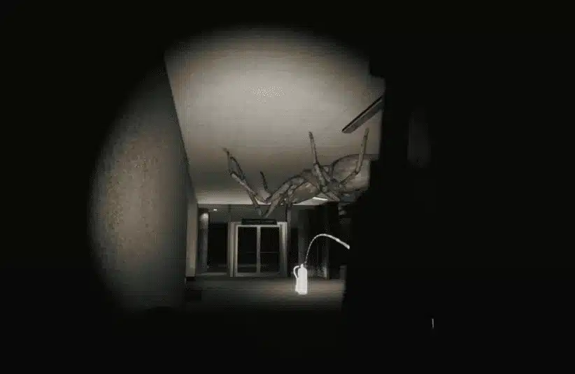 Huntsman, massive spider, survival Horror, Creature Feature series, Episode One, spider on the ceiling, distraction options