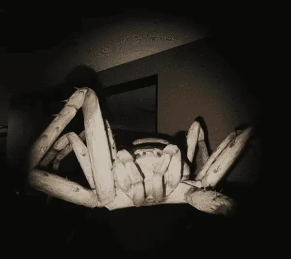 Huntsman, massive spider, survival Horror, Creature Feature series, Episode One, monster up close, death strike