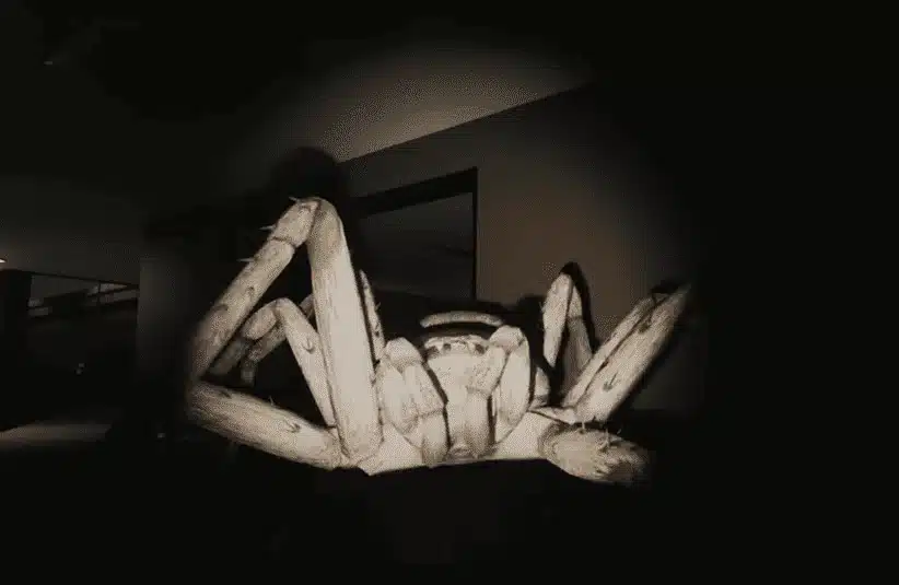 Huntsman, massive spider, survival Horror, Creature Feature series, Episode One, monster up close, death strike