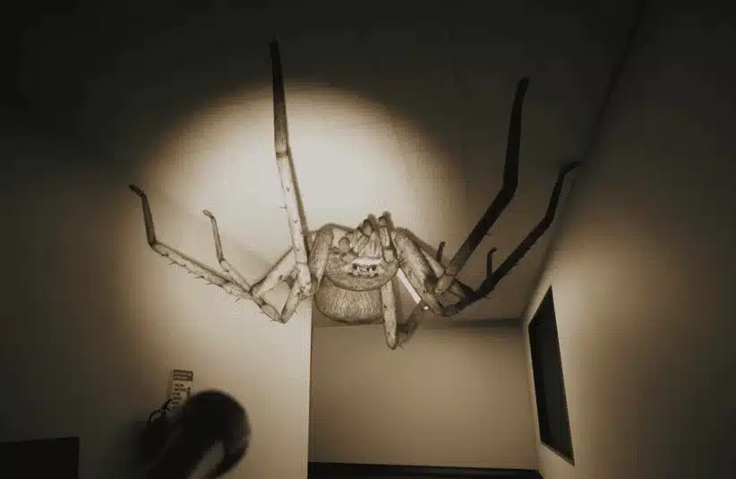 Huntsman, massive spider, survival Horror, Creature Feature series, Episode One, ceiling crawler