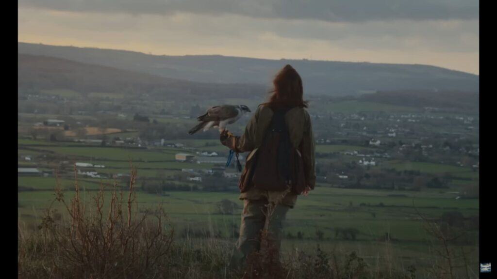 H Is For Hawk - Official Trailer