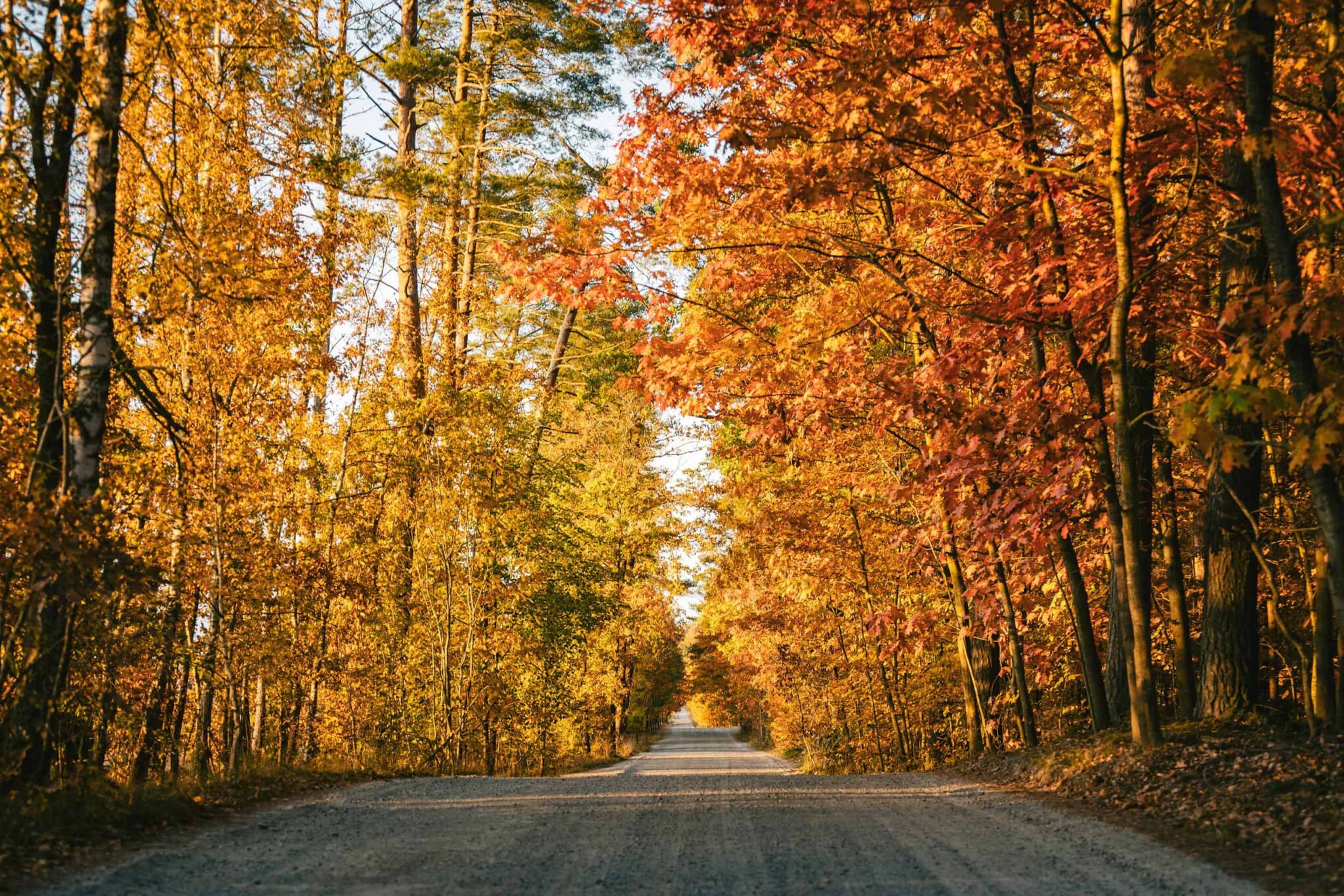 spiritual guidance, new chapters