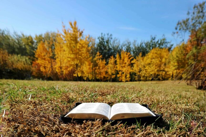 daily devotion