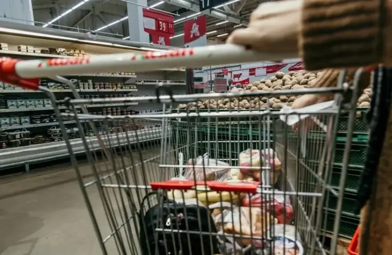 grocery shopping, budget-friendly, Thanksgiving