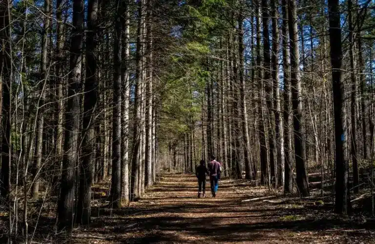 two people walking on a hiking trail. Hiking trails that might be open in November