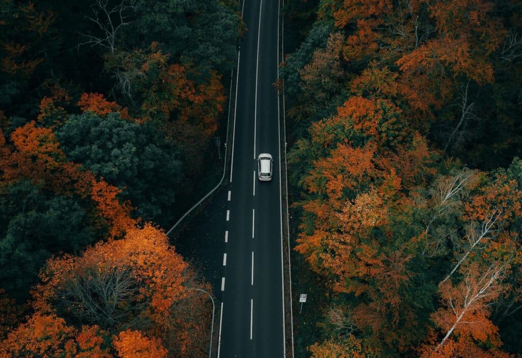 Take Thanksgiving road trips and enjoy the scenic views.