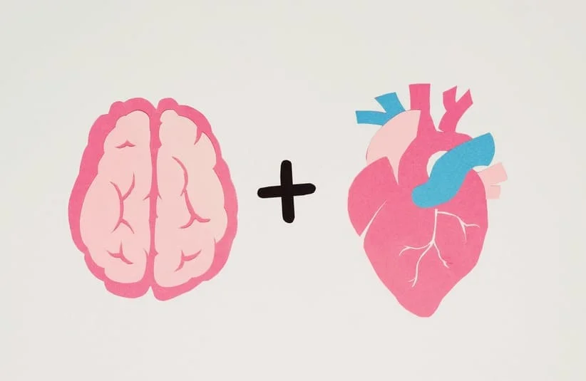 A brain and a heart, medical cannabis, cannabinoids, drug trials, studies, restrictions, health and safety