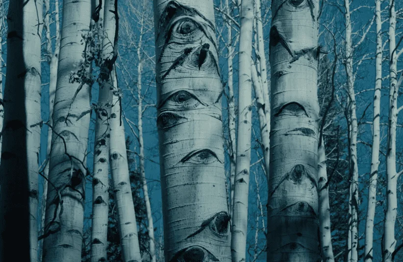 No More Time, horror movie about a diease either causing people to disappear or become killers, paranoia and distrust among the remaining humans, small town trying to survive the infection, feature debut, the trees have eyes