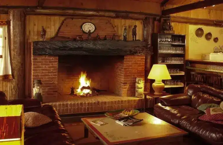 Winter care for your fireplace and chimney.