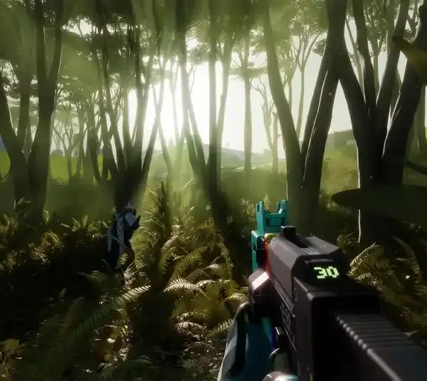 Marathon jungle scene with many trees and light streaming through the branches