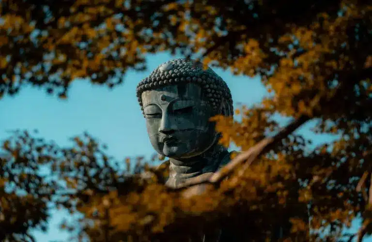 Eastern meditation practices have a long history in the relationships of humans and nature.