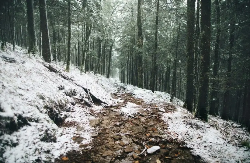 Snowy hiking trail in the Great Smoky Mountains National Park