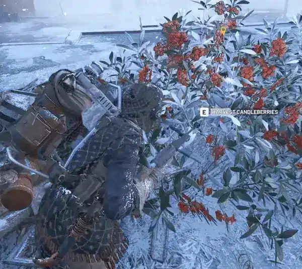 Arc Raider, collecting candleberries during Cold Snap event, The Flickering Flames