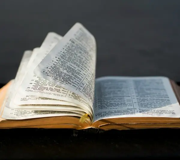 Open Bible and the pages look like they're turning to Exodus.