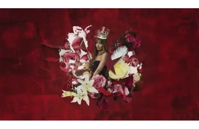 Album Cover for Fancy That by PinkPantheress, Courtesy of Warner Records