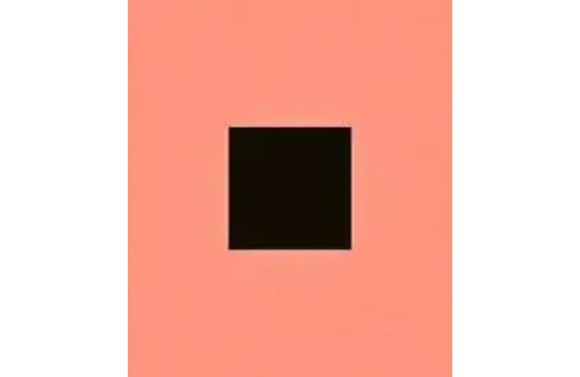 Album Cover for SABLE, fABLE by Bon Iver, Courtesy of Jagjaguwar