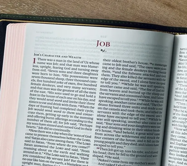 Bible open to the book of Job.