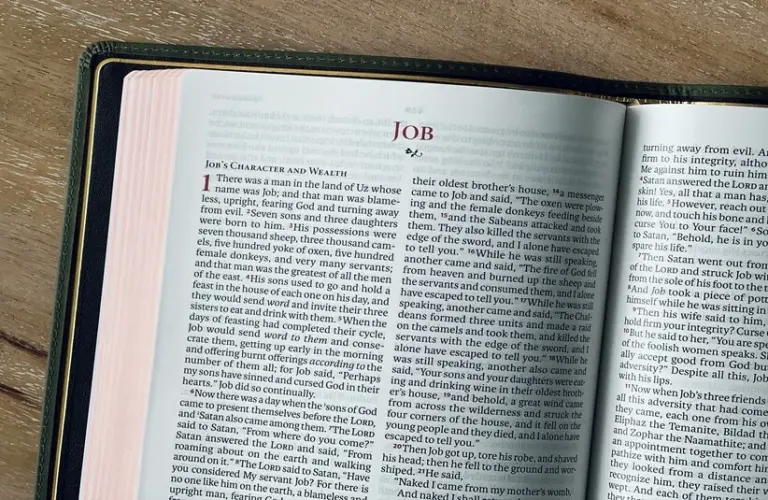 Bible open to the book of Job.