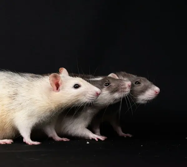 "Insanitary conditions at Minnesota distribution facility, FDA recalls thousands of products.