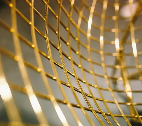 2026 Grammys │ How will each of the zodiac signs handle the big night?