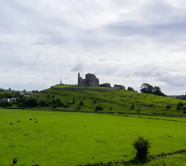 In Ireland Celtic folklore live in everything that is green. And that's a lot.