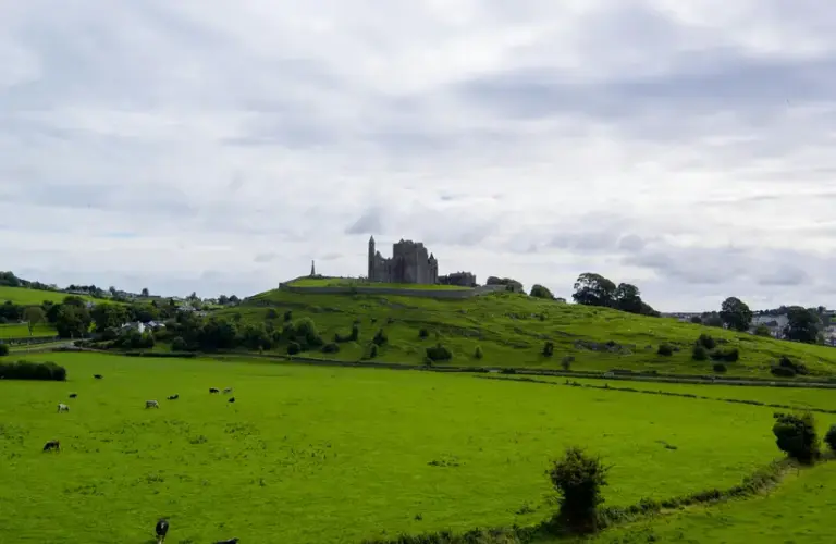 In Ireland Celtic folklore live in everything that is green. And that's a lot.
