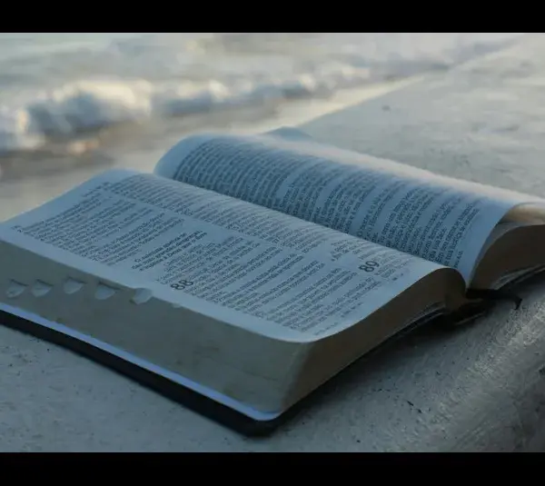 In daily devotion, an open Bible is set near a seashore.
