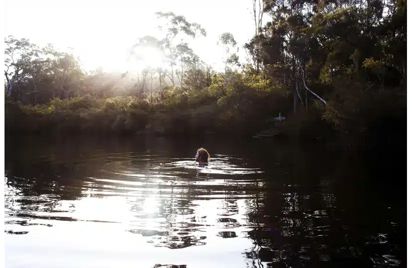 Forest bathing in a serene lake surrounded by trees at sunset, creating gentle ripples.