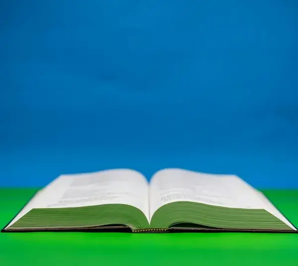 The daily devotion shows and open Bible.