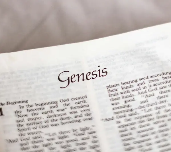The book of Genesis in the Bible, Old Testament