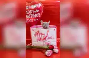 A cute French bulldog puppy sitting in a Valentine's Day bag surrounded by flowers and balloons