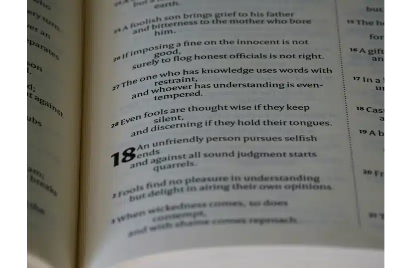 Open book showing a passage with numbered verses. Verse 18 appears bold, discussing themes of wisdom, restraint, and understanding. Calm tone. the ten commandments