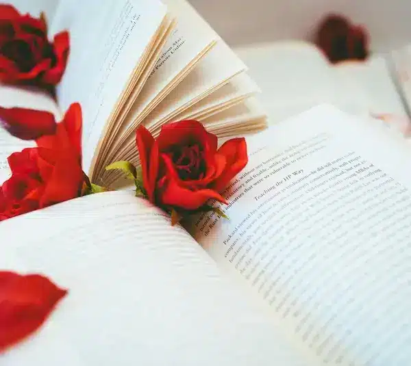 Top 5 Romance Novels To Read This Valentine’s Day