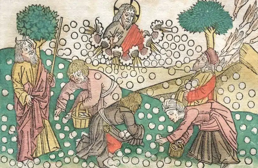 Exodus tells of Manna from heaven