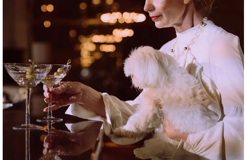 A woman and her dog at a bar with martinis