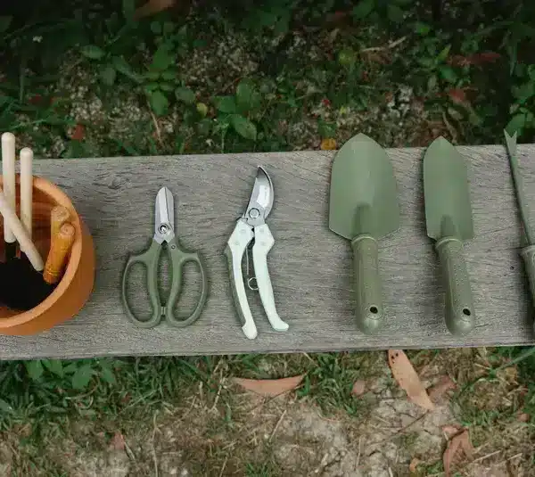 Some of the gardening tools placed in a garden