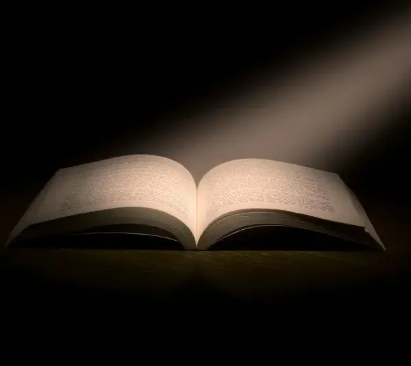 In daily devotion, a Bible has a light shining down on it.